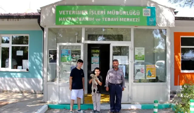 Bursa’da Dünya Köpek Günü’nde dostlara yuva çağrısı!