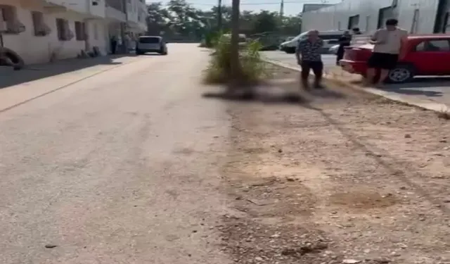 Bursa’da çifte cinayet! Eşini ve eniştesini tabancayla öldüren şüpheli tutuklandı