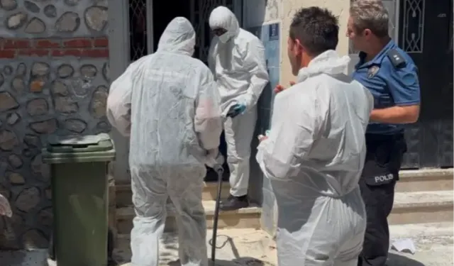 Bursa’da korkutan pire istilası! 3 katlı binadan 1’i ölü 2 köpek ve 16 hayvan çıkarıldı