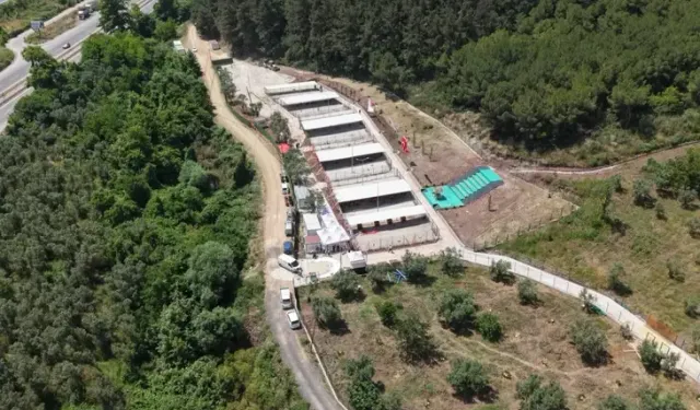 Bursa’da hayvanseverleri kızdıran karar! “Ziyaret yasağı kaldırılsın”