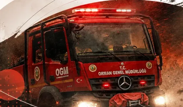 Bursa’da orman yangını riski! Bakan Yumaklı’dan vatandaşlara uyarı