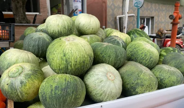 Bursa'da 46 yıldır yetişiyor! “Hırsız almaz” kavununun sırrı ne?