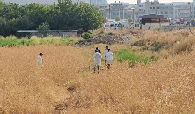 Bursa'da tarlada şüpheli ölüm! 75 yaşındaki adamın cesedi bulundu