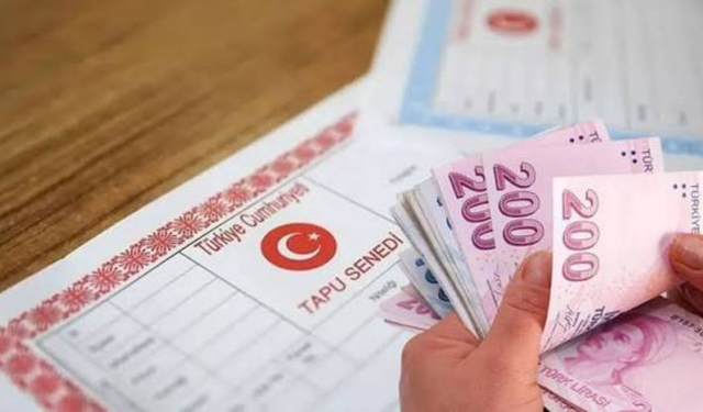 Bursa’da icradan milyonluk tarlalar ve zeytinlikler satışa çıktı! İlçe ilçe tüm fiyatlar