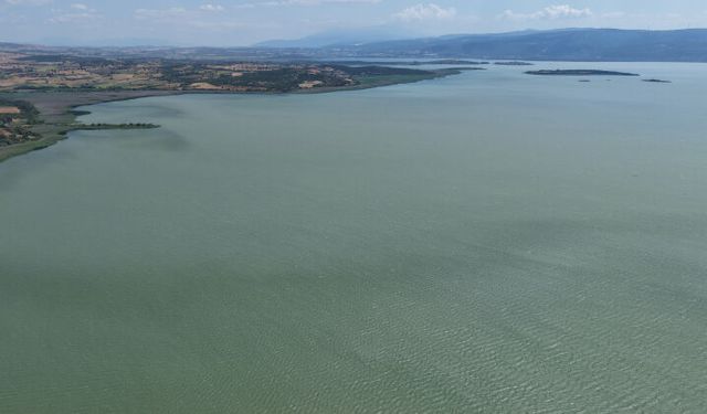 Bursa Uluabat Gölü yeşile döndü! Ramsar korumasındaki göl için kritik uyarı