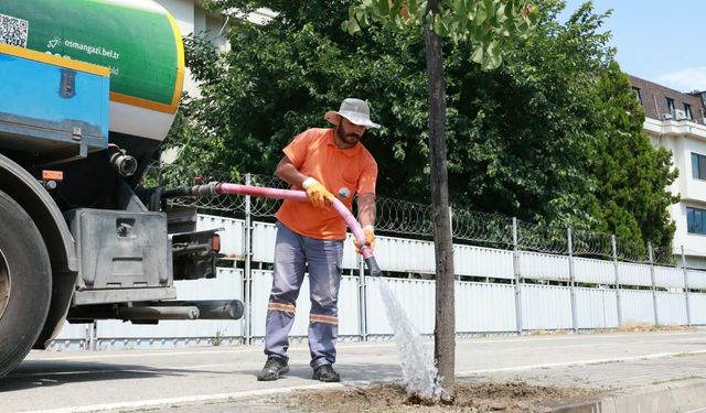 Bursa’da sıcaklara karşı 58 noktada alarm: Ekipler sahaya indi!