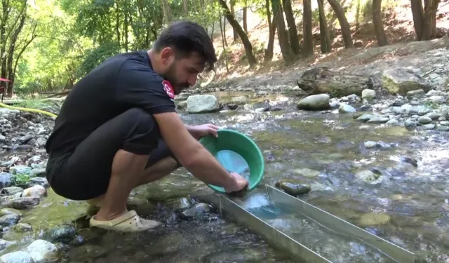 Bursa’da altın peşindeler! Derelerden günde 5 grama kadar çıkarıyorlar
