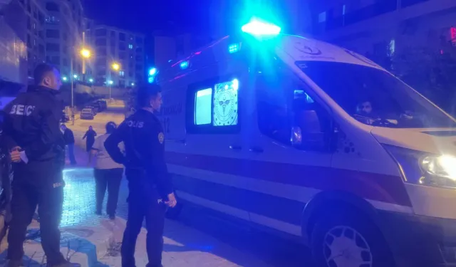 Bursa’da köpek korkusu kazaya dönüştü!