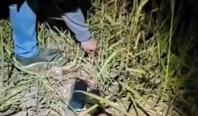 Bursa’da pes dedirten kaçak av yöntemi! Düzeneği tüpün içine gizlediler