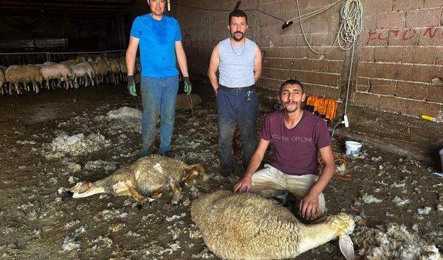 Bursa’da milyonlarca liralık ürün çöpe gidiyor!