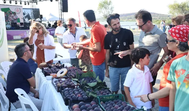Bursa'da İncir Festivali için geri sayım başladı