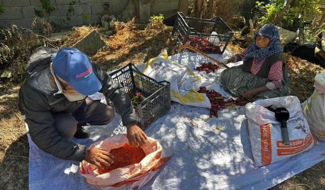 Bursa’da 90 yaşındaki annenin sözleri duygulandırdı: “Emeğim helal olsun”