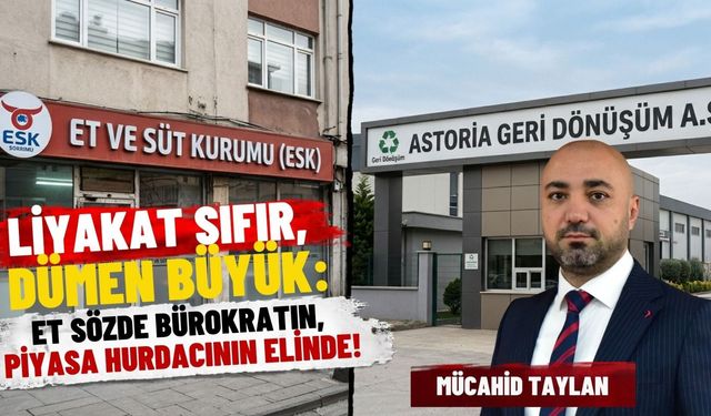 LİYAKAT SIFIR, DÜMEN BÜYÜK: ET SÖZDE BÜROKRATIN, PİYASA HURDACININ ELİNDE!