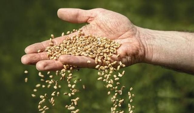 Bursa’da tohum desteği için geri sayım! Son tarih 26 Ekim
