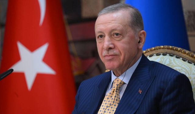 Erdoğan: Profesörler katliam dursun dedikleri için linç ediliyor