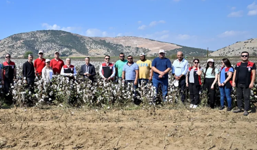 İzmir Torbalı'da  pamuk hasadı başladı