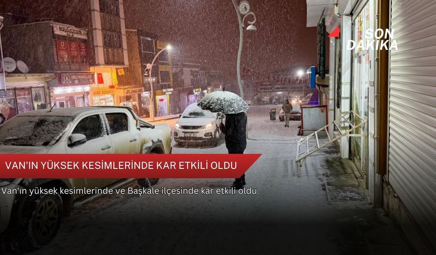 Van'ın yüksek kesimlerinde kar etkili oldu