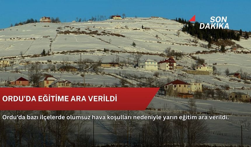 Durdurulan tırda 8 milyon kaçak makaron yakalandı