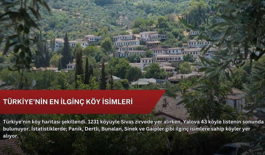 Türkiye'nin en ilginç köy isimleri