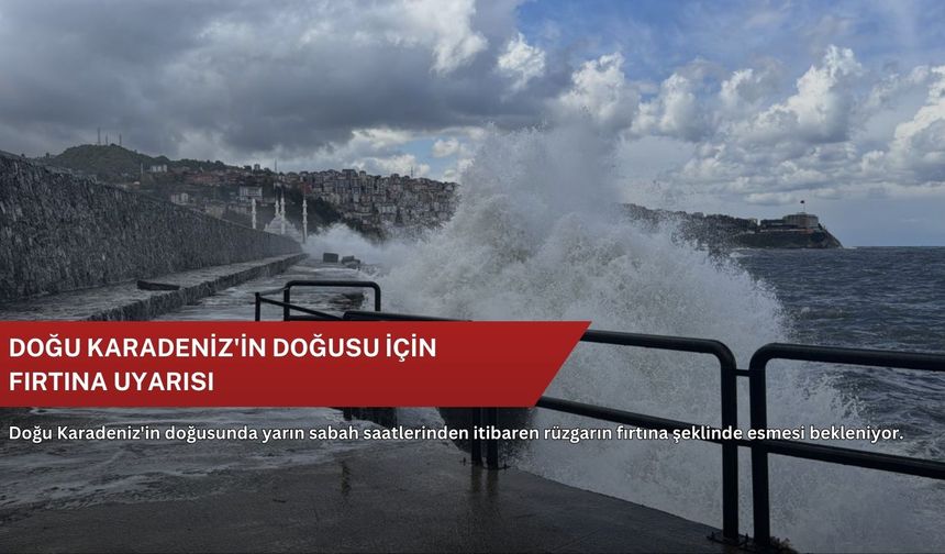 Doğu Karadeniz'in doğusu için fırtına uyarısı