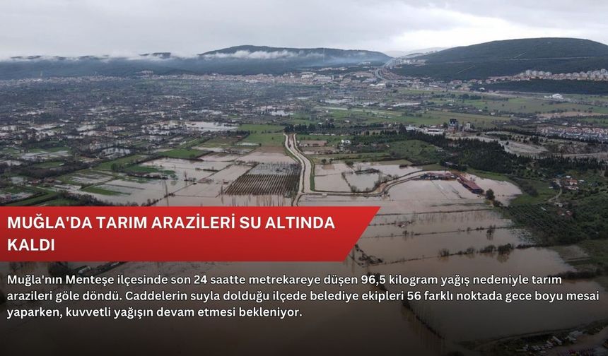 Muğla'da tarım arazileri su altında kaldı
