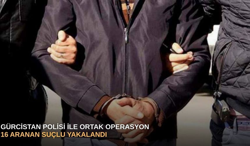Gürcistan polisi ile ortak operasyon: 16 aranan suçlu yakalandı