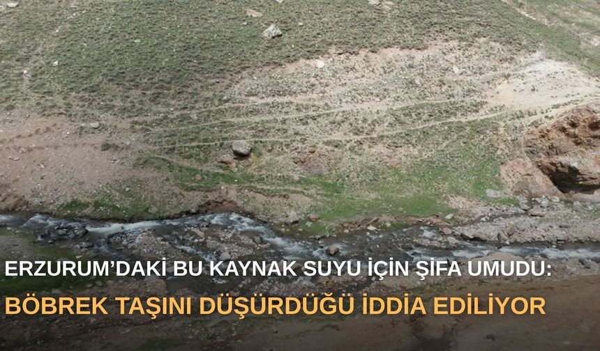Erzurum’daki bu kaynak suyu için şifa umudu: Böbrek taşını düşürdüğü iddia ediliyor