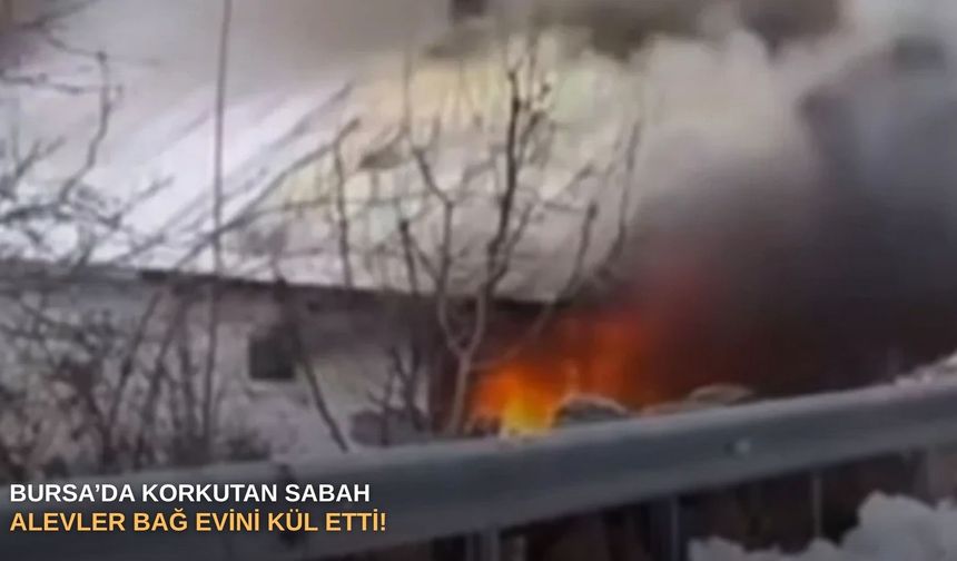 Bursa’da korkutan sabah: Alevler bağ evini kül etti!