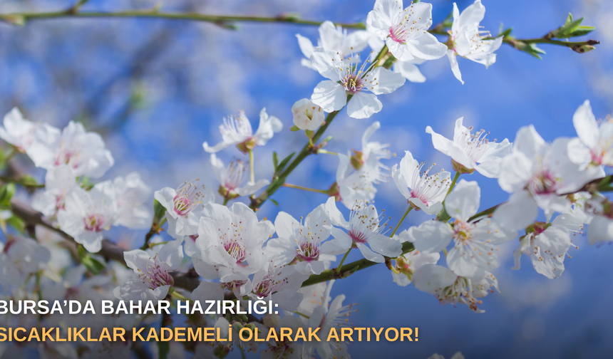 Bursa’da bahar hazırlığı: Sıcaklıklar kademeli olarak artıyor!