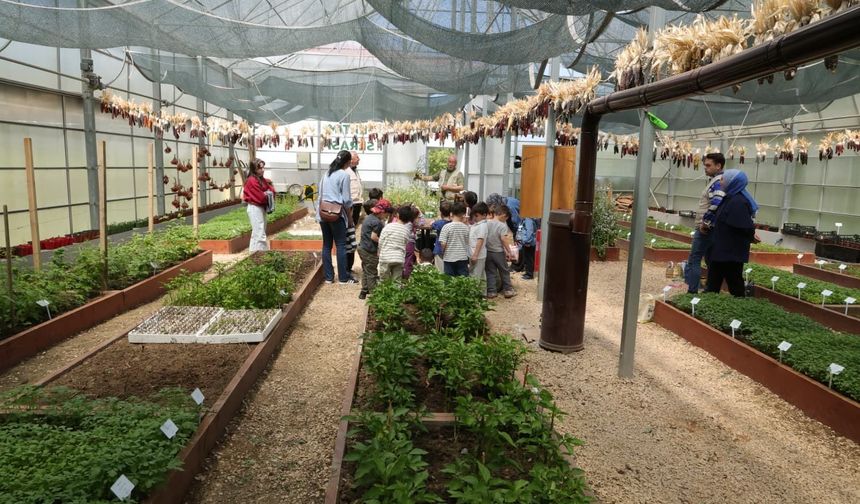 Bursa’da çocuklar iş başında: Tohumlar toprakla buluştu