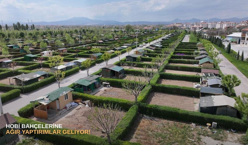 Hobi bahçelerine ağır yaptırımlar geliyor!