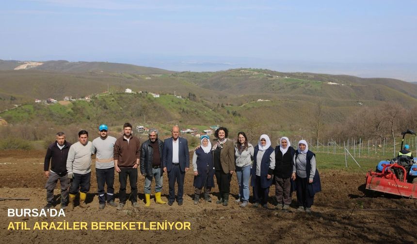 Bursa'da atıl araziler bereketleniyor