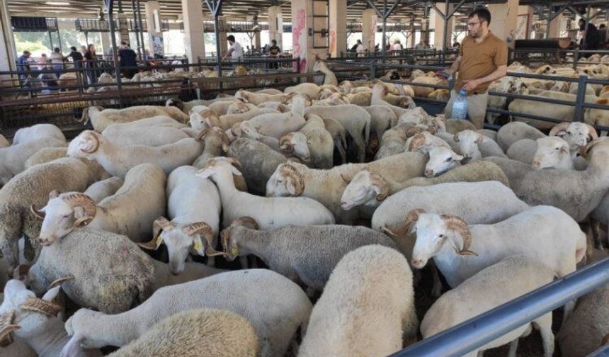 Bursa’da kurban kesim yerleri belli oldu! İşte ilçe ilçe tam liste (2026)