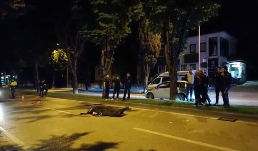Bursa'da kahreden tesadüf! Kardeşinin ölümüyle sarsılmıştı, kendisi de aynı yolda can verdi!