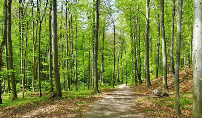 Bursa’da o tarihe kadar her şey değişti: Artık bunu yapmak yasak!