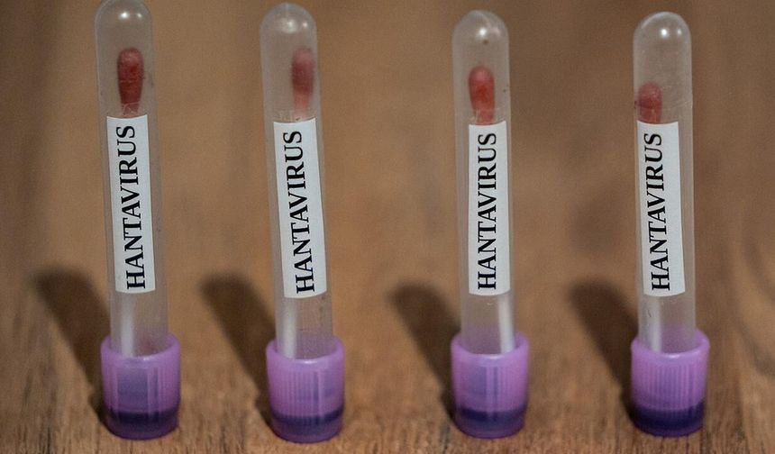 Hantavirüs Türkiye’de görüldü mü? İşte vaka sayısında son durum!