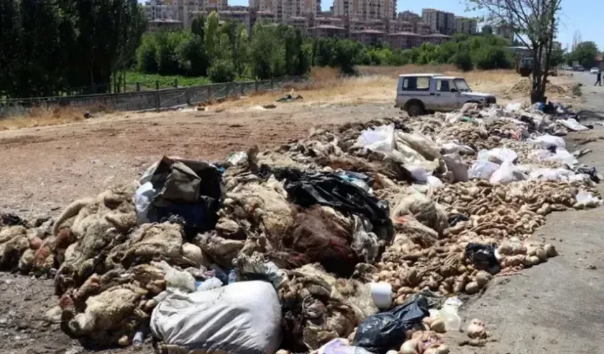 BUSKİ’den Bursa’ya kurban atıklarıyla ilgili kritik uyarı!