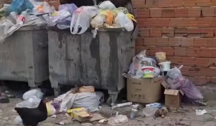 Bursa’da "koku" alarmı! Günlerdir toplanmayan çöpler halkı çileden çıkardı