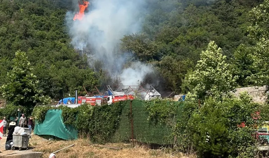 Bursa’da ormanlık alanda yangın! Ekiplerin müdahalesi sürüyor