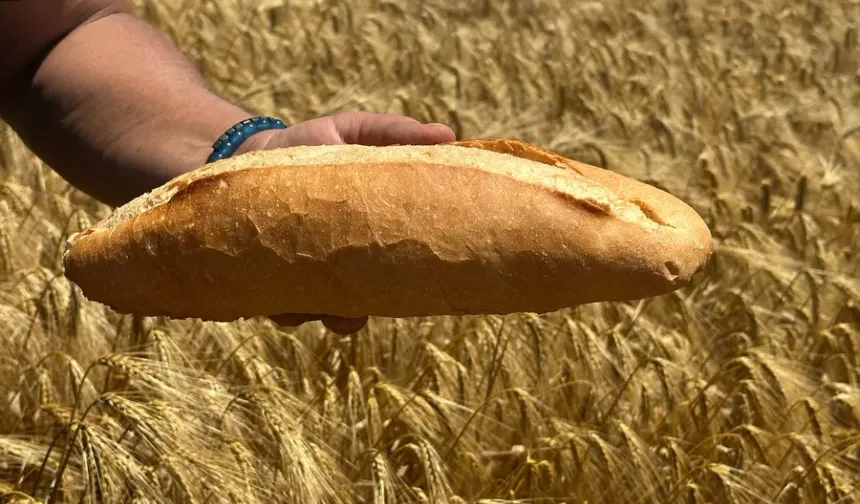 Bursa’da ekmek fiyatları konusunda çiftçiden sert çıkış!