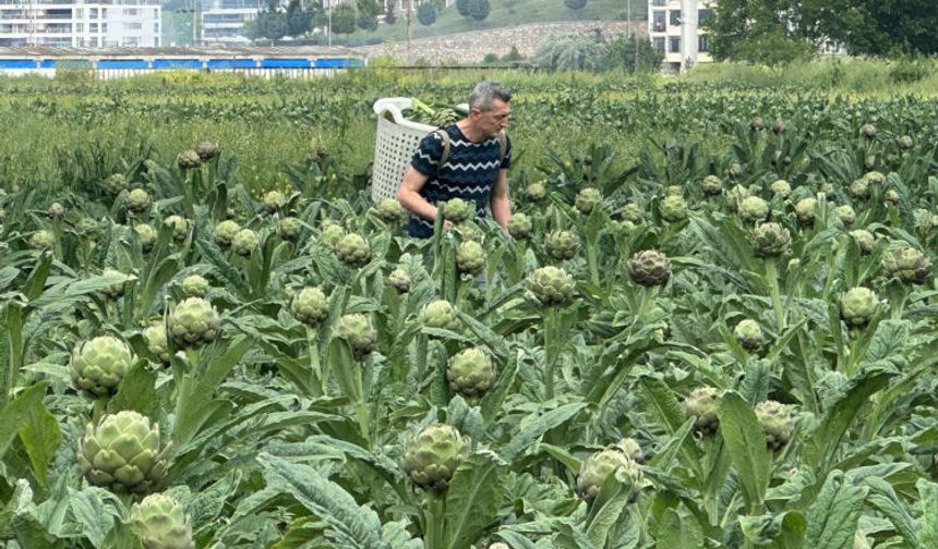 Bursa’nın meşhur tescilli ürünü yok oluyor!