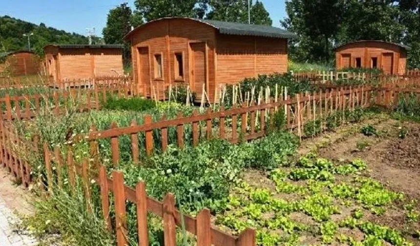 Hobi bahçesi olanlar dikkat: Meclis'ten yeni yaptırımlar resmiyet kazandı!