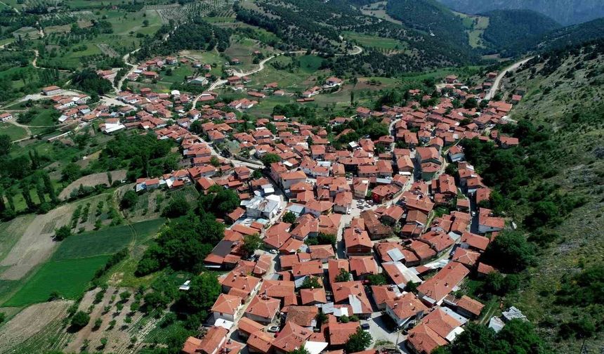 Mermer ocağı mücadelesinden marka zaferine! Bursa’nın Sorgun peyniri tescillendi