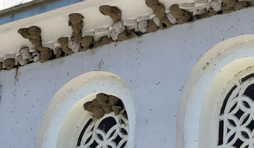 Bursa'da bu sokakta yaz boyunca pencereler açılmıyor! Sebebi duyanları şaşırtıyor