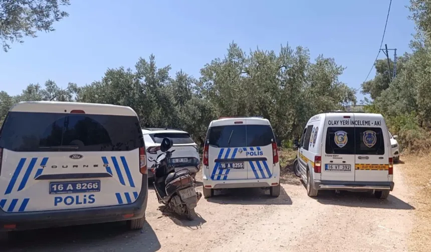Bursa’da zeytin tarlasında şüpheli ölüm!