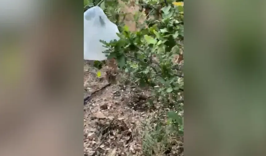Diyarbakır Çüngüş’te uyuşturucu operasyonu: CHP ilçe başkanı ve oğlu gözaltında