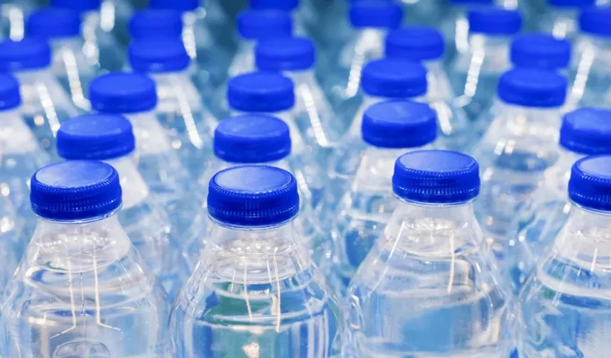 Bursa’nın suları ABD’li fonun yolunda! Nestle’den tartışma yaratan devir kararı