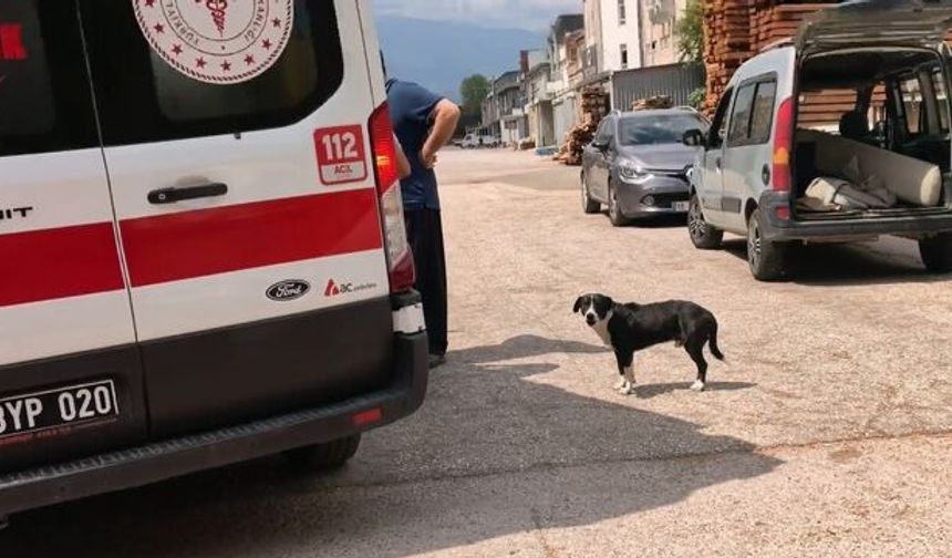 Bursa’da köpeğe çarpmamak için manevra yaptı: Motosikletiyle böyle devrildi!