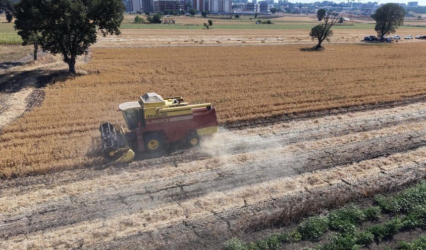 Bursa tarımında ezber bozan adım! Yağ krizine karşı Doğanköy’de düğmeye basıldı