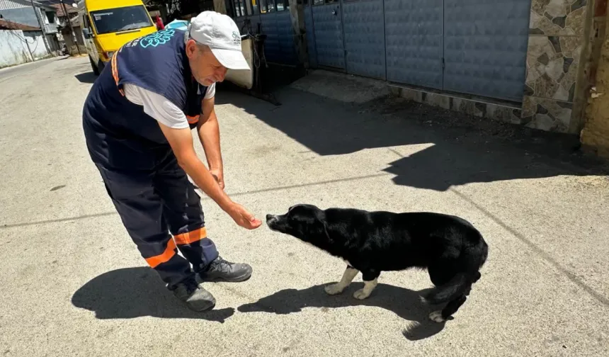 Bursa’da yürekleri ısıtan dostluk! Dayı isimli köpeğin hikayesi şaşırttı